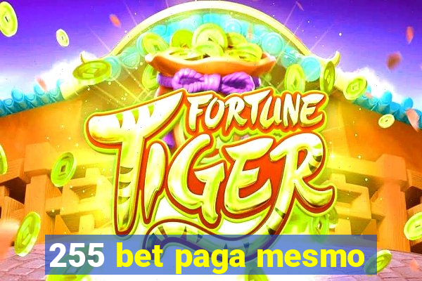 255 bet paga mesmo